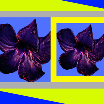 Fotografía titulada "lilas" por Jose Americo Jsilvares, Obra de arte original, Fotografía digital