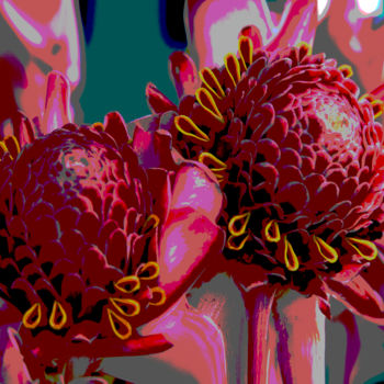 Photographie intitulée "affice fleur" par Jose Americo Jsilvares, Œuvre d'art originale, Photographie numérique
