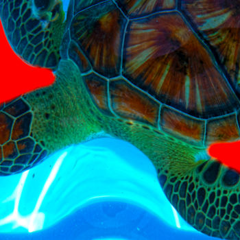 Fotografia intitolato "tartaruga marinha" da Jose Americo Jsilvares, Opera d'arte originale, Fotografia digitale