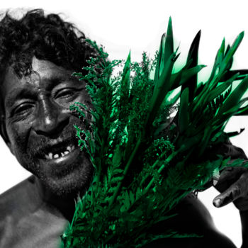 Fotografie mit dem Titel "romantismo verde" von Jose Americo Jsilvares, Original-Kunstwerk, Manipulierte Fotografie