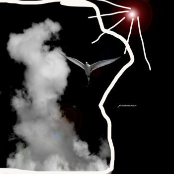 Photographie intitulée "preto e branco 2" par Jose Americo Jsilvares, Œuvre d'art originale, Photographie manipulée