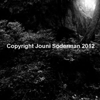 Photographie intitulée "So beautiful is sil…" par Jouni Soderman, Œuvre d'art originale