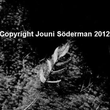 Photographie intitulée "Autumn leaf" par Jouni Soderman, Œuvre d'art originale