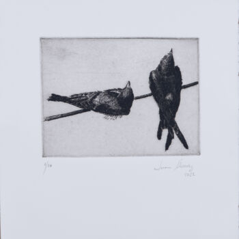 印花与版画 标题为“Swallows” 由Juan Álvarez Cebrián, 原创艺术品, 蚀刻