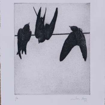 "Swallows I" başlıklı Baskıresim Juan Álvarez Cebrián tarafından, Orijinal sanat, Oyma baskı 