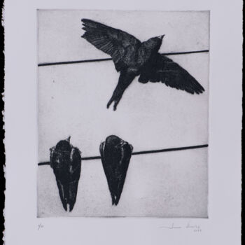 제목이 "Swallows II"인 판화 Juan Álvarez Cebrián로, 원작, 에칭