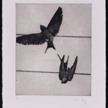 印花与版画 标题为“Swallows III” 由Juan Álvarez Cebrián, 原创艺术品, 蚀刻