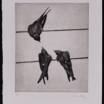 Estampas & grabados titulada "Swallows IV" por Juan Álvarez Cebrián, Obra de arte original, Aguafuerte