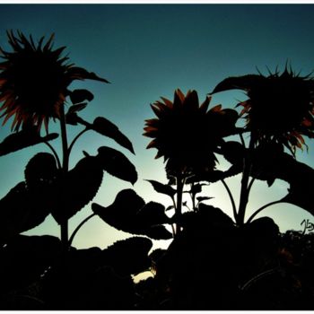 Photographie intitulée "Soleil à contre jour" par Juan Deluka, Œuvre d'art originale