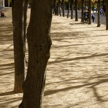 Photographie intitulée "Derniers jours de s…" par Jürgen Briem, Œuvre d'art originale