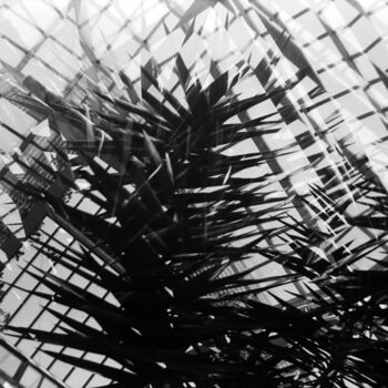 Fotografia intitolato "Tropical Zone Hambu…" da Juergen Straub, Opera d'arte originale, fotografia a pellicola