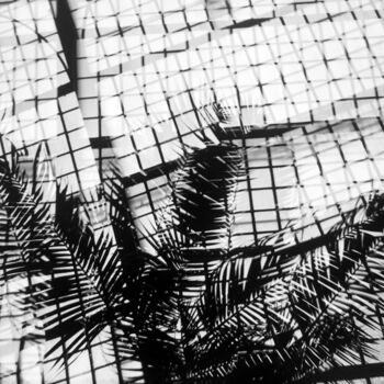 Photographie intitulée "Tropical Zone Frank…" par Juergen Straub, Œuvre d'art originale, Photographie argentique