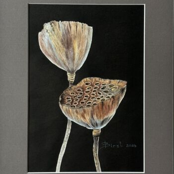 Schilderij getiteld "Dry lotuses on black" door Julia Birst, Origineel Kunstwerk, Aquarel