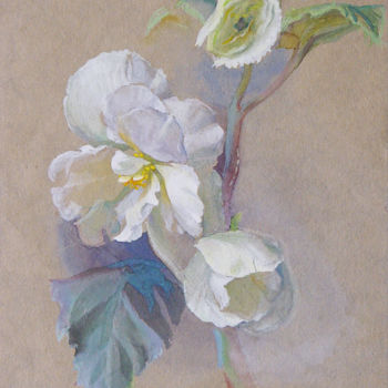 Drawing titled "Flower begonia." by Julia Goryanaya, Original Artwork, Other