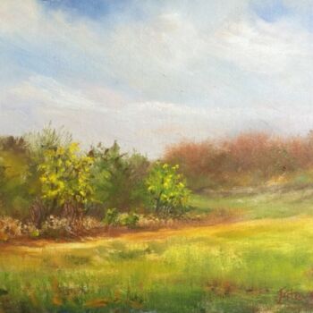Peinture intitulée "Robbins Park Meadow" par Julia Stevens, Œuvre d'art originale