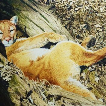 Pintura intitulada "Pumas' Siesta" por Julian Wheat, Obras de arte originais, Acrílico