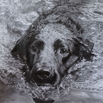 Dibujo titulada "Labrador bliss" por Julian Wheat, Obra de arte original, Lápiz