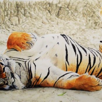 Ζωγραφική με τίτλο "Tigers Siesta" από Julian Wheat, Αυθεντικά έργα τέχνης, Ακρυλικό