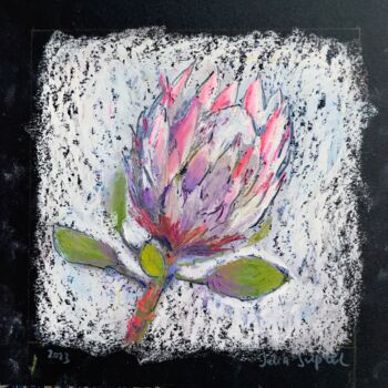 图画 标题为“Protea” 由Julia Suptel, 原创艺术品, 粉彩
