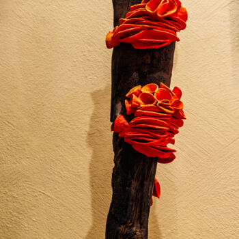 Sculpture titled "When the Earth Smil…" by Julie Dalloz, Original Artwork, Wood