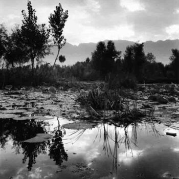 「Nageen lake 1 / 7」というタイトルの写真撮影 Julien Horonによって, オリジナルのアートワーク