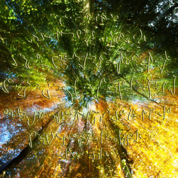 Arts numériques intitulée "Light Forest 9" par Julien Adelée, Œuvre d'art originale, Photo montage