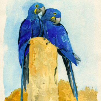 Malarstwo zatytułowany „Arara azul grande (…” autorstwa Julien Cachemaille, Oryginalna praca, Akwarela