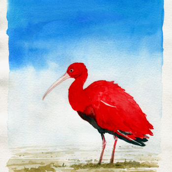 Painting titled "Guará vermelho" by Julien Cachemaille, Original Artwork, Watercolor