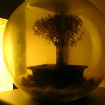 Photographie intitulée "l'arbre dans son aq…" par Jusama, Œuvre d'art originale