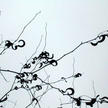 Fotografía titulada "calligraphie végéta…" por Jusama, Obra de arte original