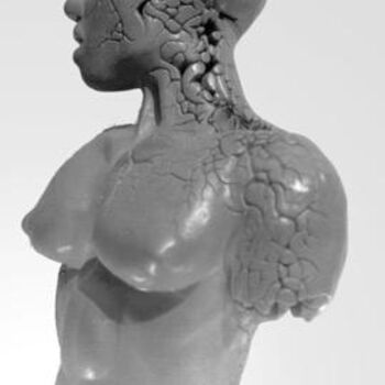 Escultura titulada "Asséché" por Julien S, Obra de arte original, Cerámica