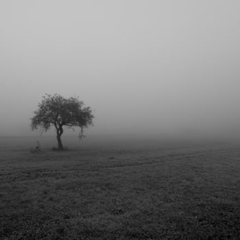 "Last one" başlıklı Fotoğraf Jure Kralj tarafından, Orijinal sanat, Dijital Fotoğrafçılık