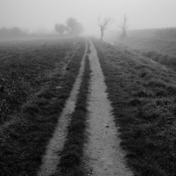 Fotografia intitulada "Path" por Jure Kralj, Obras de arte originais, Fotografia digital