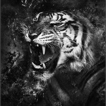 Arte digitale intitolato "Tiger" da Jürgen Haffa (creator), Opera d'arte originale, Fotomontaggio Montato su Alluminio