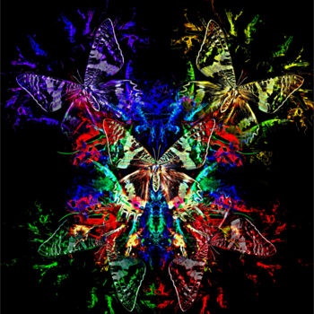 Arts numériques intitulée "Papillon" par Jürgen Haffa (creator), Œuvre d'art originale, Photo montage Monté sur Aluminium