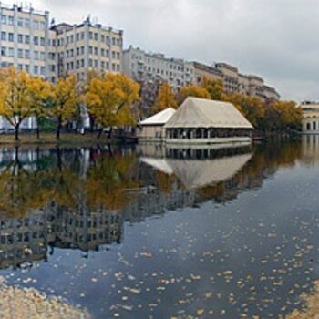 Фотография под названием "Листья на воде." - Juri Nazarov, Подлинное произведение искусства