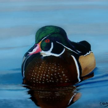 Painting titled "Woodduck" by Jean Yves Crispo, Original Artwork, Oil