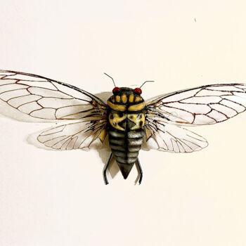 Scultura intitolato "White Ghost Cicada" da Ken Overman, Opera d'arte originale, Plastica
