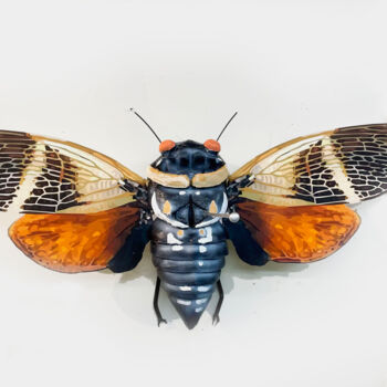 Sculpture intitulée "Cicada 2" par Ken Overman, Œuvre d'art originale, Plastique