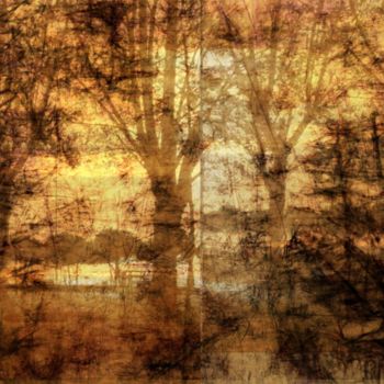 Fotografia zatytułowany „Trees 1” autorstwa Konstantinos Adamantidis, Oryginalna praca, Manipulowana fotografia