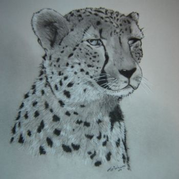 Drawing titled "Cheetah" by Chance Kaiden, Original Artwork