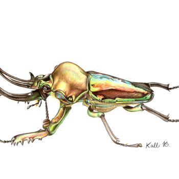 "Phalacrognatus muel…" başlıklı Resim Kalli Horn tarafından, Orijinal sanat, Kalem