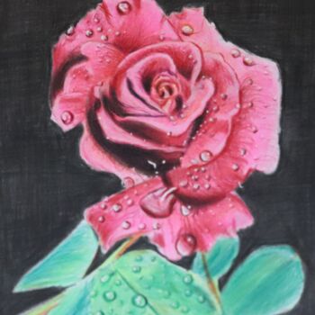 Drawing titled "Dew drops on Rose" by Kamal Raj Thakur Utsav Thakur, Original Artwork, Pencil