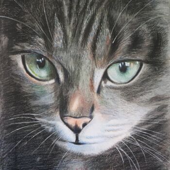 Drawing titled "CAT CAT mane Billi" by Kamal Raj Thakur Utsav Thakur, Original Artwork, Pencil