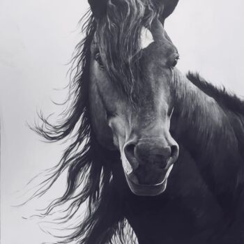 Painting titled "Black&White Horse" by Kanat Mks, Original Artwork, Acrylic