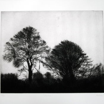 Estampas & grabados titulada "arbres" por Kaoru Tsuzawa, Obra de arte original, Otro