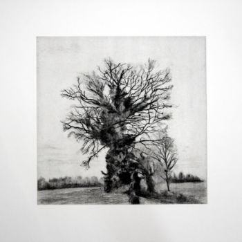 Gravures & estampes intitulée "arbres" par Kaoru Tsuzawa, Œuvre d'art originale