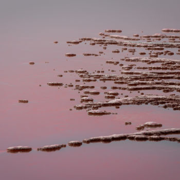 Photographie intitulée "Branches de sel" par Gerald Kapski, Œuvre d'art originale, Photographie non manipulée Monté sur Alum…