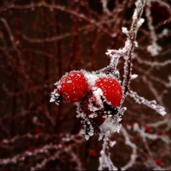 Φωτογραφία με τίτλο "Winter 2" από Дарья Зюлковська, Αυθεντικά έργα τέχνης, Ψηφιακή φωτογραφία
