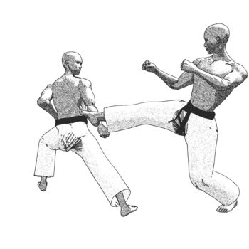 Digital Arts titled "Koho gedan barai (1)" by Karate Poster, Original Artwork, 3D Modeling